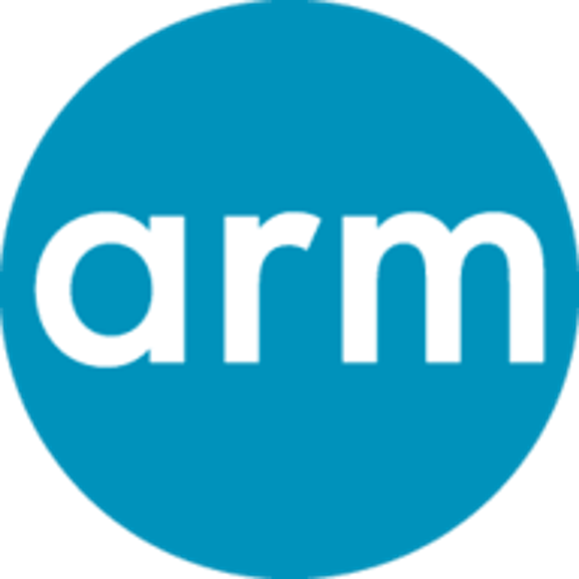 ARM 编程